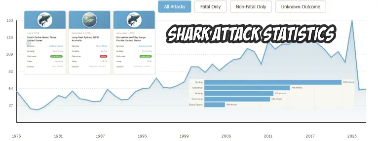 Shark attack statistics