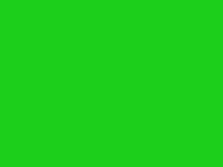 Low hazard green beach flag