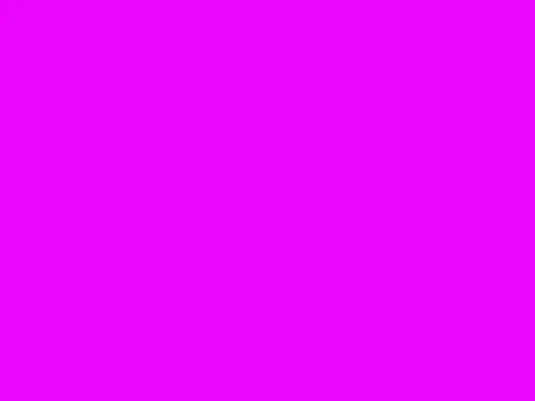 Purple marine pests beach flag