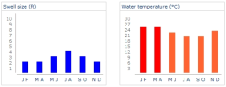 Brazil Swell Size and Water Temperature
