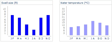 England Swell Size / Water Temperature