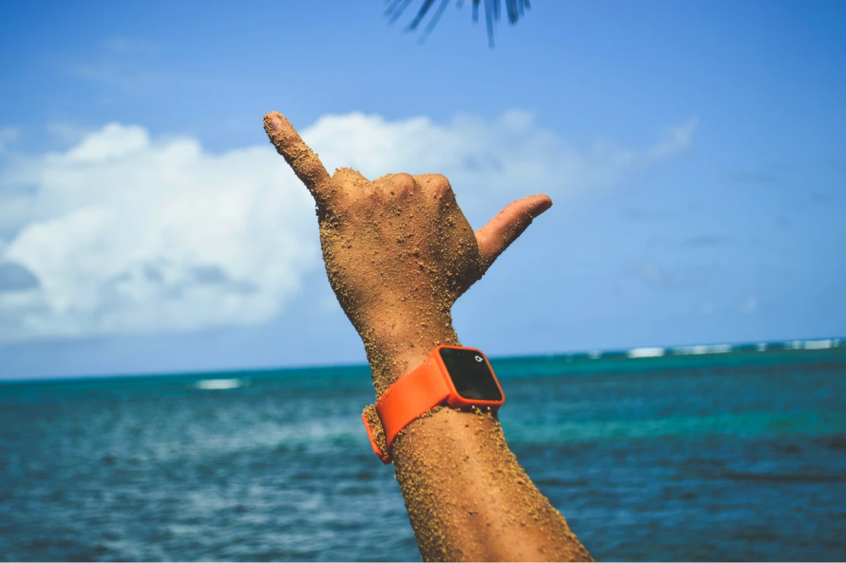 The shaka sign