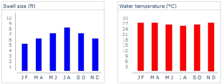 Tahiti Swell Size / Wave Temperature