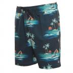 Sundays Layback in Blue Boardshort