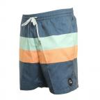 Seasons Volley in Blue Boardshort