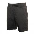 Civic Hybrid in Black Shorts