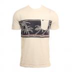 Las Palmas in White