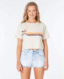 WoGolden Days Crop Tee Shirt in White