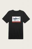 Calishark in Black Shirt