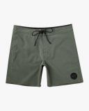 VA Pigment in Aloe (Alo) Boardshort