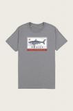 Calishark in Grey Shirt