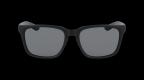 Baile LL Polar in Matte Blac Sunglasses