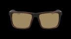 Meridien LL in Brown Sunglasses