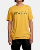 Big in Golden Rod (Gdr) Shirt