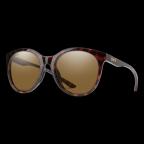 Bayside in Brown Sunglasses