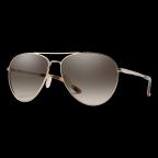 Layback in Brown Sunglasses