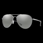 Layback in Platinum Sunglasses