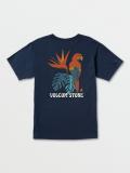 Picaroon in Navy Blue Shirt