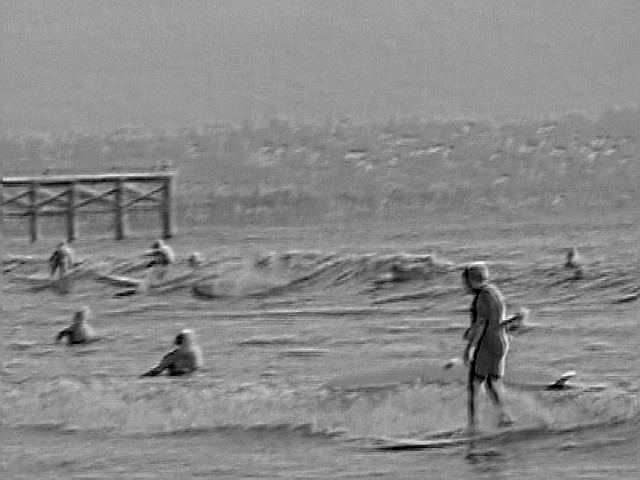 Pink Lamb Classic Vintage Longboarding in PB