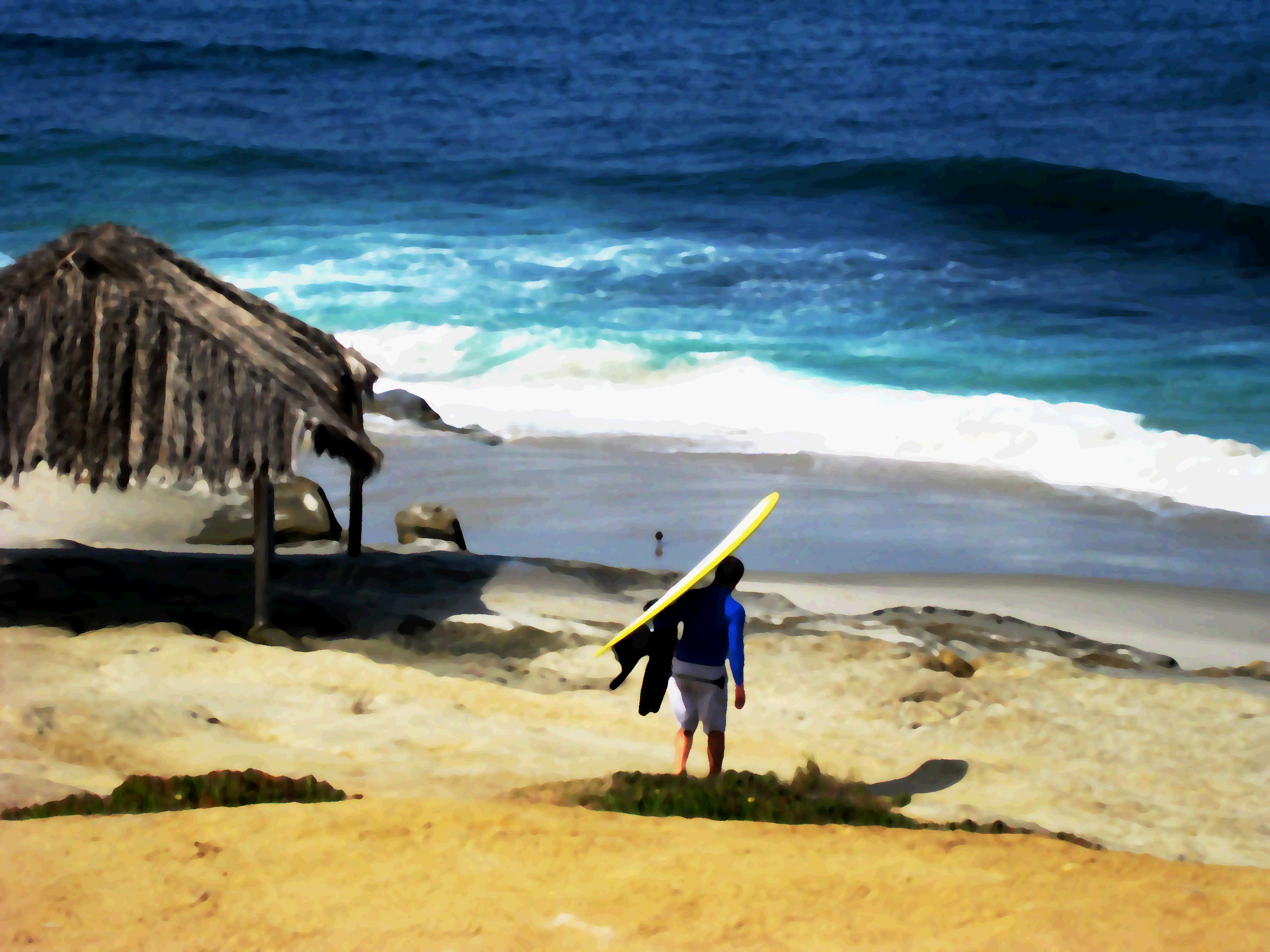 Pink Lamb A Day in La Jolla