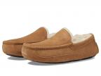 Ascot (chestnut)