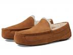 Wide Ascot (chestnut)