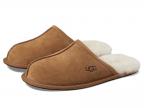 Scuff (chestnut)