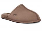 Scuff (caribou)