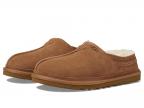 Neuman (chestnut 1)