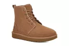 Neumel High (chestnut)