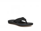 Cosmic Coast (black)