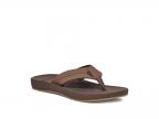 Cosmic Coast (brown)