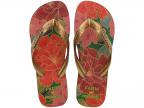 Farm Red Florals Sandal (black)