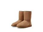Classic Short (chestnut)