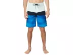 20 Surfsilk Panel Shorts (limpet Shell)