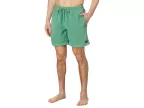 17 Everyday Surfwash Volley Shorts (frosty Spruce)