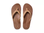 Solana (cocoa)