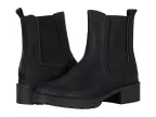 Iggie (black 1)