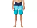 Lennox Stripe 21 Boardshorts (navy 2)