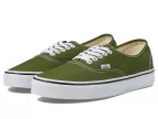 Authentic (color Theory Pesto)