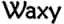 Waxy Surf Wax